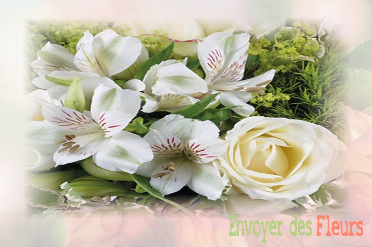 envoyer des fleurs à à VAUNAVEYS-LA-ROCHETTE